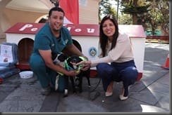 Pet House