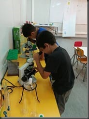 vilti investigacion