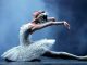 La magia del Ballet Nacional de Rusia Renacimiento llega a Enjoy Antofagasta con el “Lago de los Cisnes”