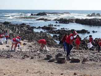 En semana de bienvenida alumnos de INACAP limpian playa Trocadero