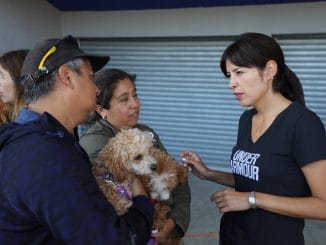 Sigue el “chipeo” para mascotas de Antofagasta