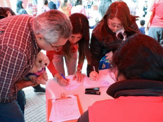 lanzan campaña “Antofagasta amigable con las mascotas”