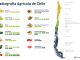La cereza se posiciona como la favorita de la producción frutícola en Chile
