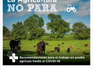 Indap elabora manual para prevenir Covid-19 en el trabajo de la pequeña agricultura