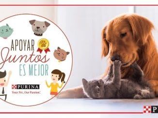 Nestlé Purina adelanta convocatoria de Fondos Concursables en apoyo a mascotas