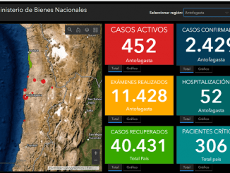 Informe Covid-19 Antofagasta