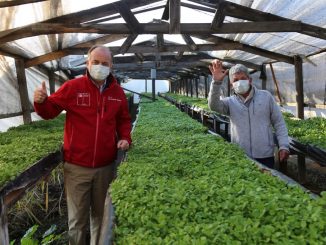 Ministro Walker destaca implementación del plan Paso a Paso en el agro: “Tenemos que hacer un último esfuerzo en todos los centros de venta de alimentos para no dar un paso en falso”