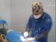 Operativo esterilizará a 180 felinos de la comuna de Antofagasta