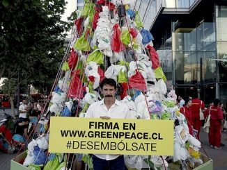 Greenpeace y eliminación de las bolsas plásticas: "Celebramos este primer avance contra la pandemia del plástico"