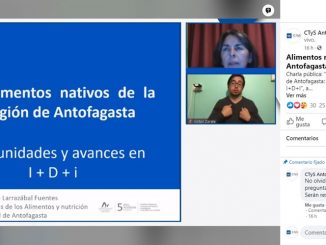 C-TyS UA presentó charla virtual sobre alimentos y nutrición