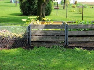 Tres formas de hacer abono en casa: un primer paso para la agricultura sustentable