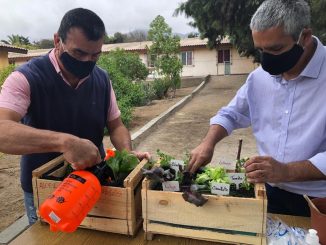 Enseñan finanzas y cultivo de huertos a 18 personas en situación de calle