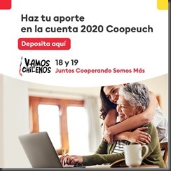 Campaña Vamos Chilenos