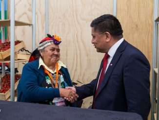 Encargado Programa Chile Indígena de CONADI y participación de la Mujer Indígena: “Valoramos la inclusión de las mujeres indígenas en las organizaciones y el desarrollo de los territorios”