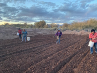 Terrazas y eras de cultivo: Sistemas agrícolas ancestrales para la sostenibilidad