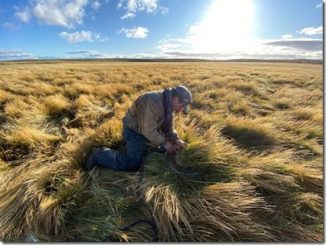 Aportes en sanidad vegetal, cambio climático y agro 4.0 presentará INIA en Expo Chile Agrícola, que este año será 100 % virtual