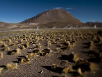 Definen seis ejes clave para instaurar el primer Laboratorio Natural para la Agricultura en el Desierto