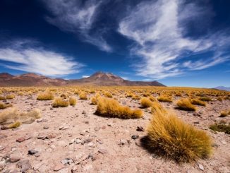 Sernatur busca fortalecer la innovación en la gestión del turismo municipal a través de concurso