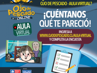 Ojo de Pescado invita a que niños, niñas y jóvenes realicen sus propias animaciones desde sus hogares Ojo de Pescado invita a que niños, niñas y jóvenes realicen sus propias animaciones desde sus hogares