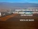 Puerto Antofagasta inicia proceso de licitación zona desarrollo logístico capricornio
