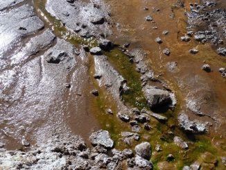 Buscan mejorar procesos industriales usando moléculas aisladas en la Región de Antofagasta Buscan mejorar procesos industriales usando moléculas aisladas en la Región de Antofagasta