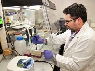 Buscan mejorar kit de diagnóstico para la detección rápida del veneno de la Araña de Rincón