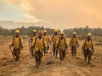 Soldados protegiendo el medioambiente y ayudando a la comunidad Las Brigadas de Refuerzo de Incendios Forestales del Ejército (BRIFEs)