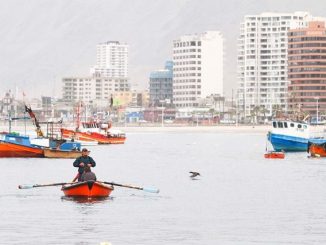 Avanza proceso de instalación: Indespa abrirá concurso para nombrar a encargado en la región de Antofagasta