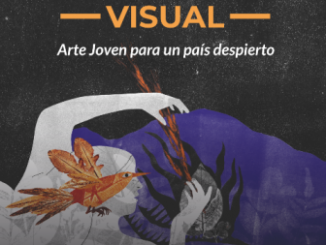Concurso “Balmaceda Visual” abre convocatoria para artistas jóvenes en todo el país