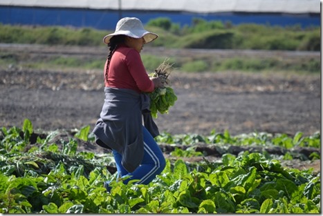 Mujer_campo