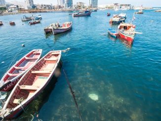 Subpesca inicia proceso para nominar a miembros del Consejo Zonal de Pesca de Arica y Parinacota, Tarapacá y Antofagasta