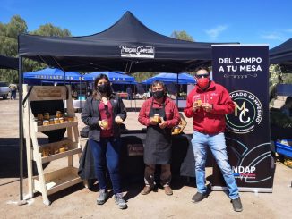 Usuarios de Indap participan de feria agrícola en San Pedro de Atacama