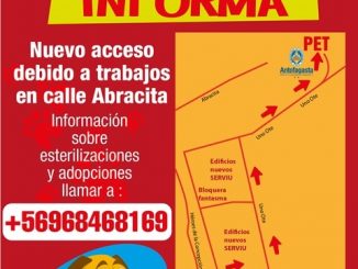 Municipio ofició a Serviu por interrumpir acceso de vecinos a Programa de Esterilización de Mascotas (PET)