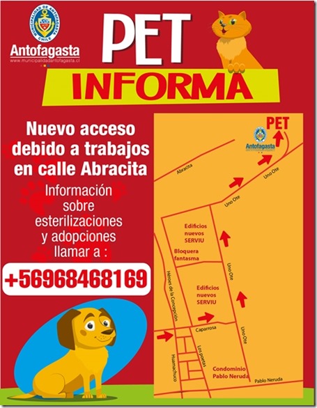 PET NUEVO ACCESO