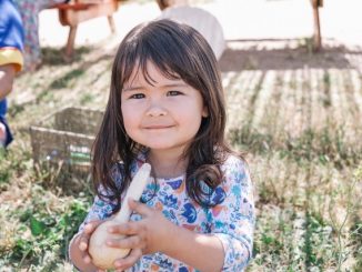 Con visitas y asesoría focalizada se buscará que jardines infantiles con menor desempeño mejoren