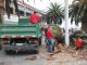 Municipalidad realiza operativo de poda y mejoramiento de arbolado urbano