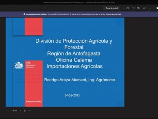 SAG expone sobre “Aspectos Fitosanitarios y Zoosanitarios en Controles Fronterizos” a jóvenes estudiantes de Calama SAG expone sobre “Aspectos Fitosanitarios y Zoosanitarios en Controles Fronterizos” a jóvenes estudiantes de Calama