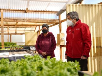 Mayores oportunidades para agricultores loínos se abren con apertura de nuevo SAT INDAP en Calama