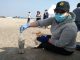 Circulo de Seguridad y Protección Bahía Antofagasta realiza operativo de limpieza en Playa Paraíso