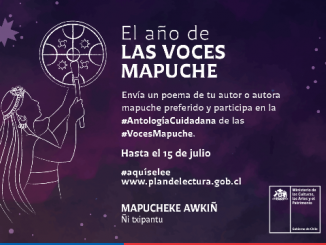 Ministerio de las Culturas invita a participar en la Antología Ciudadana de las Voces mapuche