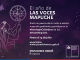 Ministerio de las Culturas invita a participar en la Antología Ciudadana de las Voces mapuche