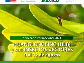 Inscríbete en el seminario internacional sobre HLB y sus insectos vectores