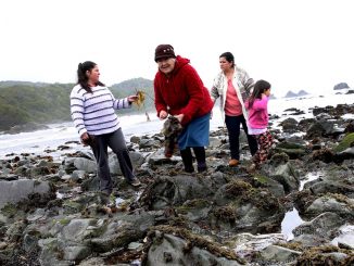 Entra en vigencia ley de equidad de género en la pesca y Subsecretaria destaca que "estamos haciendo historia"