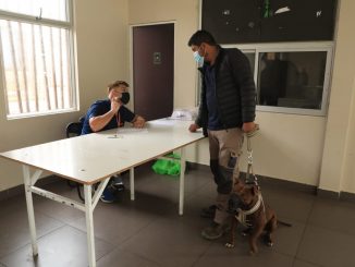 Municipio continúa implantando microchip a mascotas en sedes vecinales