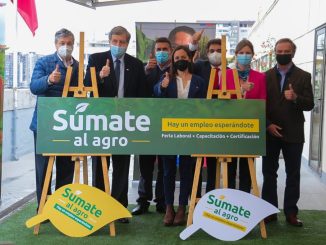 Campaña #SúmatealAgro: Ministerios del Trabajo y Previsión Social y Agricultura llaman a postular a más de 5 mil vacantes de trabajo en el sector agrícola