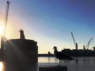ATI recibe sello de Cuantificación y Reducción de emisiones de GEI de Huella Chile ATI recibe sello de Cuantificación y Reducción de emisiones de GEI de Huella Chile