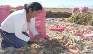 Calama recibirá al primer encuentro intercomunal de fomento “Taller de Transferencia y Vinculación en Fomento Productivo Regional”