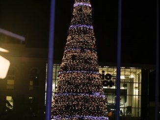 Con gran espectáculo se llevó a cabo el tradicional encendido del árbol municipal