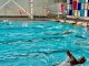 Mindep-IND informan modalidad de agendamiento de horas para uso de la piscina olímpica