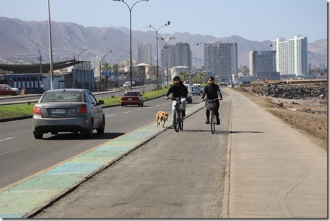 iluminación ciclovía (1)